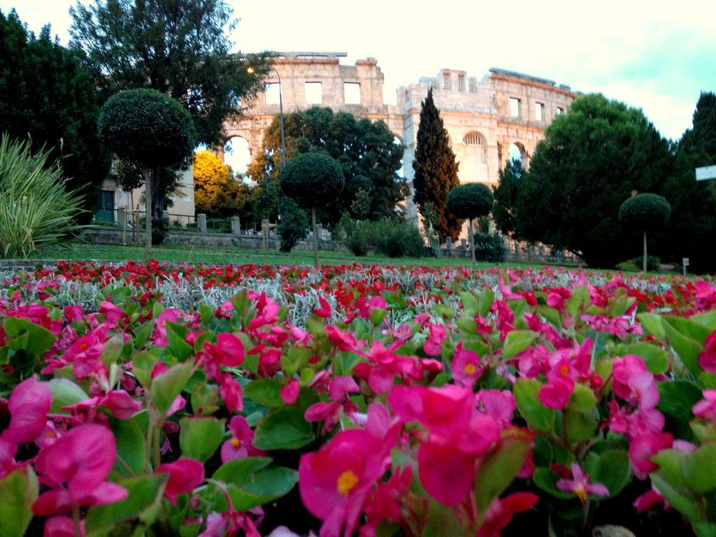 PUY Amphitheater Apartment מראה חיצוני תמונה